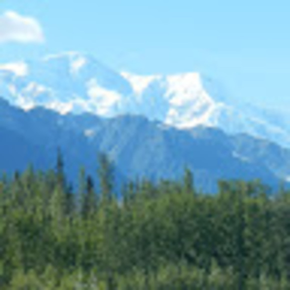 Meet your Posher, Daniel - Picture 1 of 1